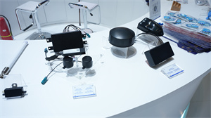 DSC00302_副本.jpg
